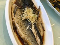 -玉雪春天(中正花园店)