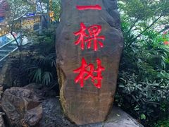 -老幺泉水鸡