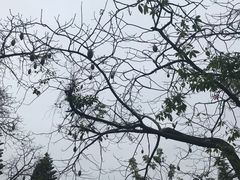 -广州市白云山风景名胜区