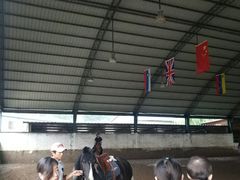 -月河湾马术俱乐部(朝阳店)