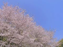 -苏州上方山国家森林公园