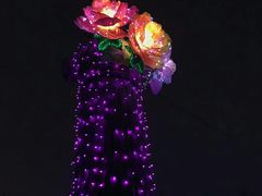 -长春公园(普阳街道)