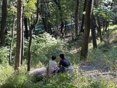 -帽儿山风景区
