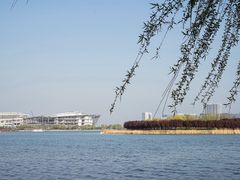 -北龙湖湿地公园