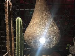 -Tajine Moroccan塔金摩洛哥中东餐厅
