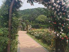 -龙寺生态园