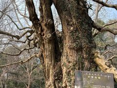 -东湖落雁景区