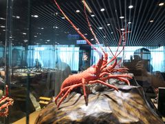 -绮丽珊瑚(台北101旗舰门市店)