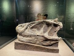 -自贡恐龙博物馆