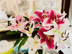 -麦德龙(嘉定店)