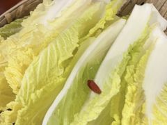 -楠火锅(西单店)