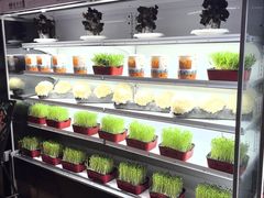 -番食园鲜食火锅(高新店)