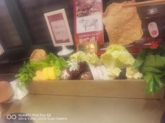 -手选潮汕鲜活牛肉火锅(二七广场店)