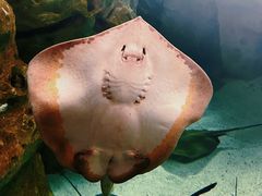 -珠海长隆海洋王国
