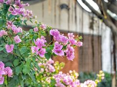 -白鹭洲公园