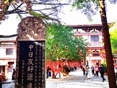 -西安乐游原