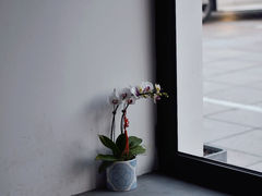 -J's Cafe Lab