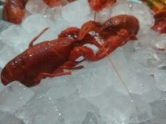 冰镇小龙虾-指爱龙虾(金杨路总店)