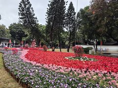 -荔湾湖公园