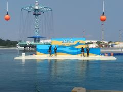 -秦皇岛乐岛海洋王国