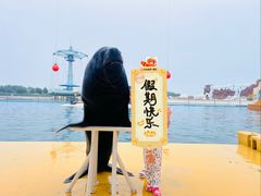 -秦皇岛乐岛海洋王国