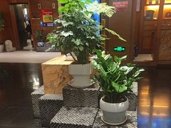 -黔蘑菇四季餐厅(观山湖店)