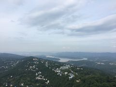 -大金鹰园