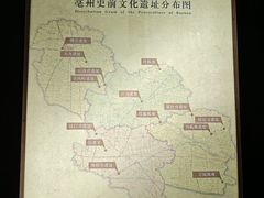-亳州博物馆