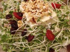 奶酪沙拉-机器人火炉披萨