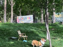 -爪吧宠物乐园 (温榆河示范区店)