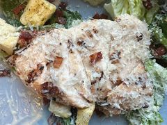 -bluefrog蓝蛙(水游城店)