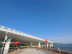 -演武大桥观景平台