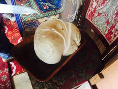 -达老餐厅