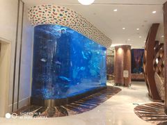 -长隆海洋王国自助餐厅(横琴湾店)