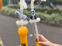 -广州长隆野生动物世界