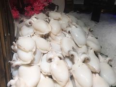 -加餐海鲜自助(宝龙一城店)