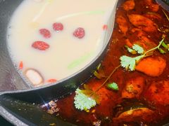 红汤梭边鱼锅-新辣道鱼火锅(西直门店)