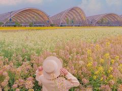 -中国天府农业博览园