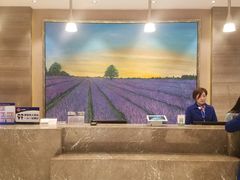 -麗枫酒店(北京学院路六道口地铁站店)