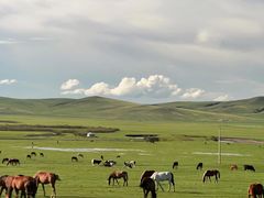 -莫日格勒旅游景区