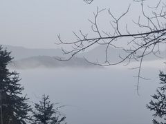 -江西阳明山国家森林公园