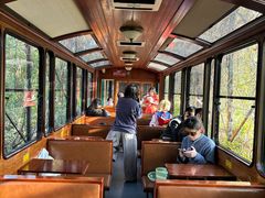 -合肥滨湖国家森林公园