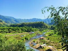 -广州市流溪河国家森林公园