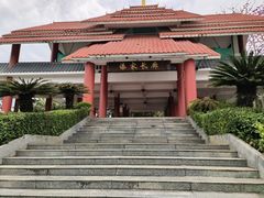 -大屏嶂森林公园