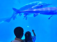 -泉城欧乐堡海洋极地世界