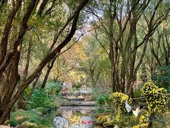 -上海共青森林公园