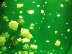 -海合安青岛极地海洋公园