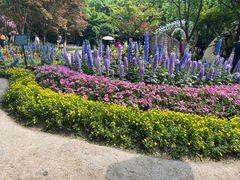 -成都市文化公园