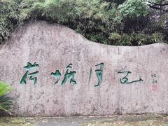 -荷塘月色湿地公园·向阳花洲