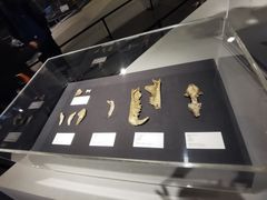 -北京周口店北京人遗址博物馆